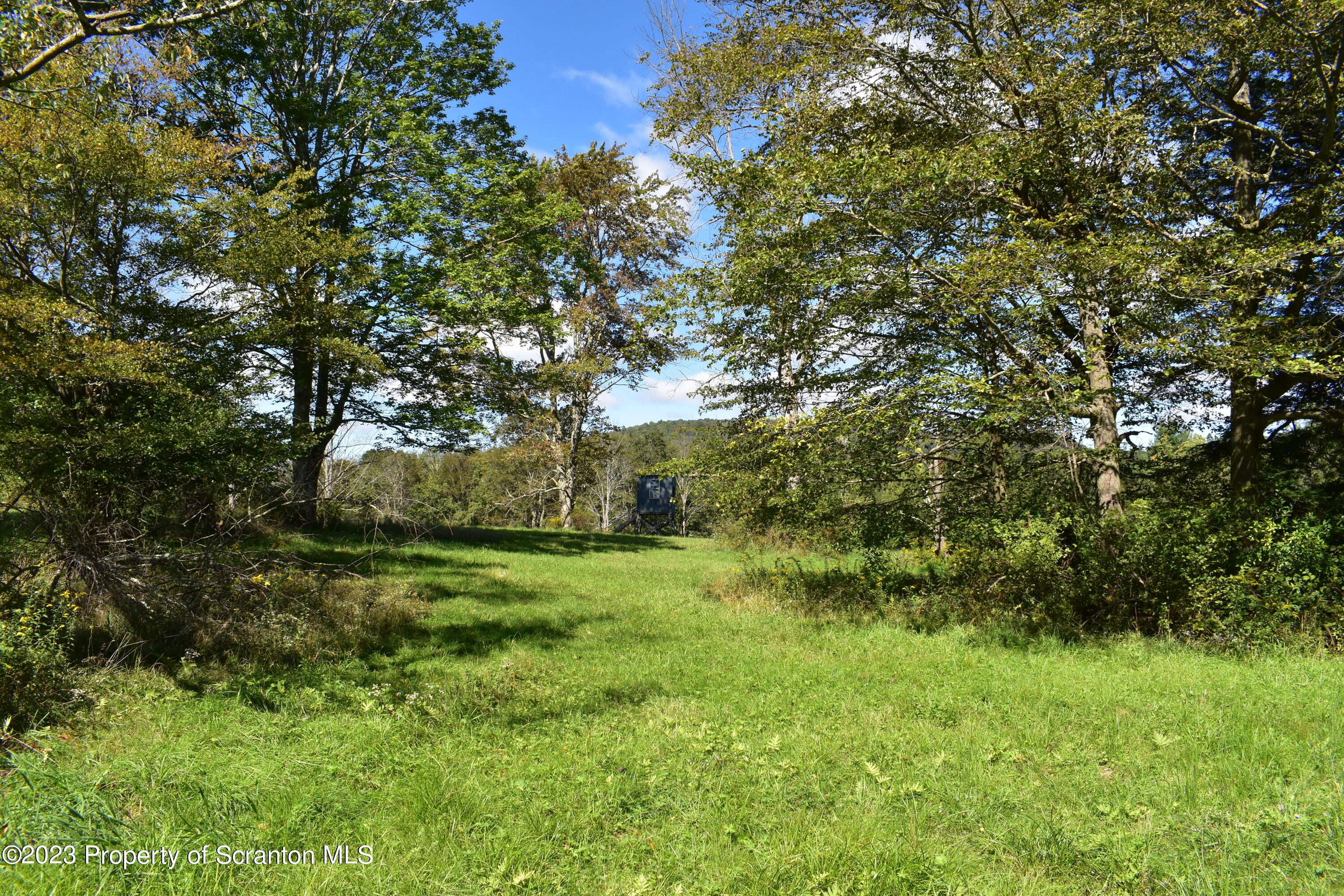 0 Franklin Hill Road Hallstead, PA 18822 - Photo 65 of 72 a big yard with lots of green space and deers