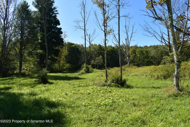 $285,000 | 0 Franklin Hill Road, Hallstead, PA 18822