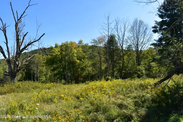 $285,000 | 0 Franklin Hill Road, Hallstead, PA 18822