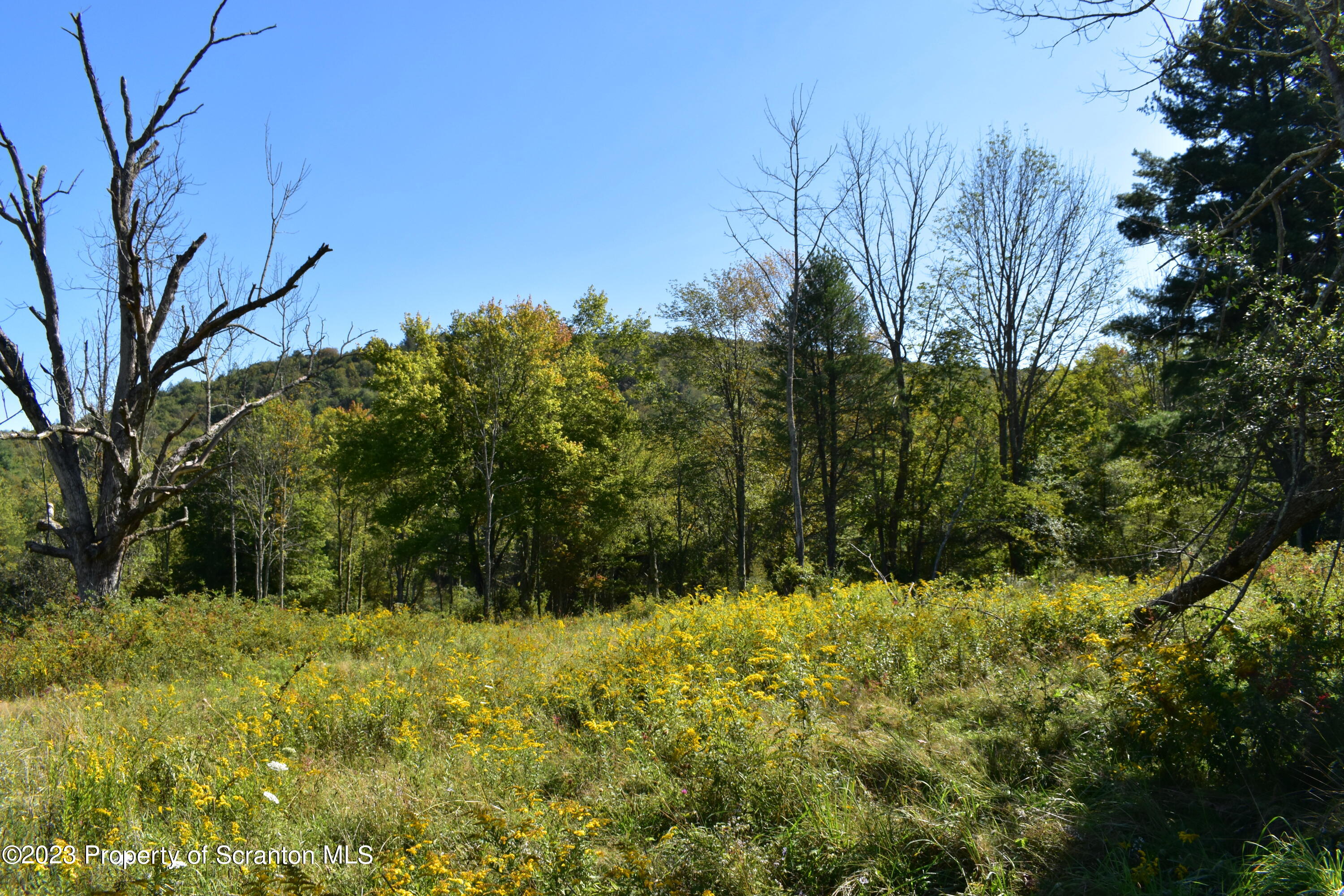 0 Franklin Hill Road Hallstead, PA 18822 - Photo 69 of 72 Land