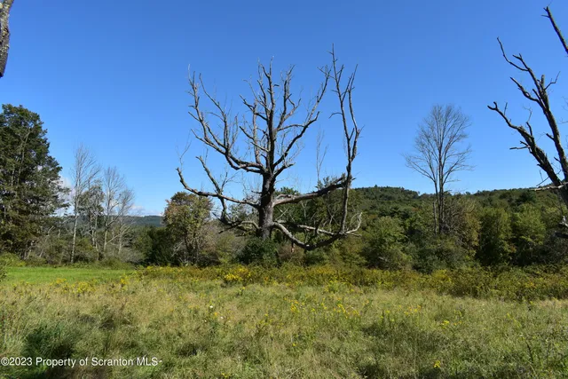 $285,000 | 0 Franklin Hill Road, Hallstead, PA 18822
