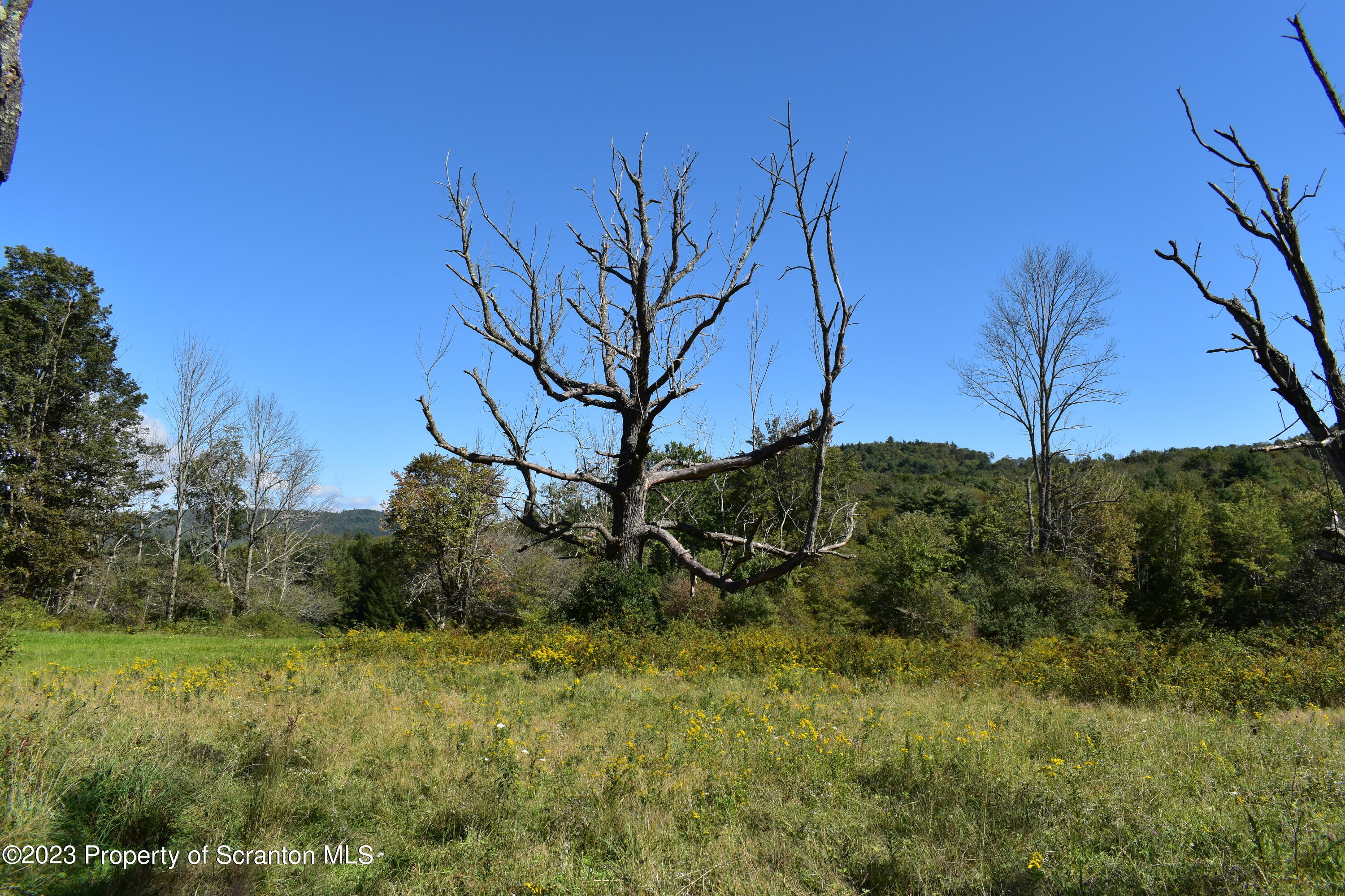 0 Franklin Hill Road Hallstead, PA 18822 - Photo 70 of 72 Land