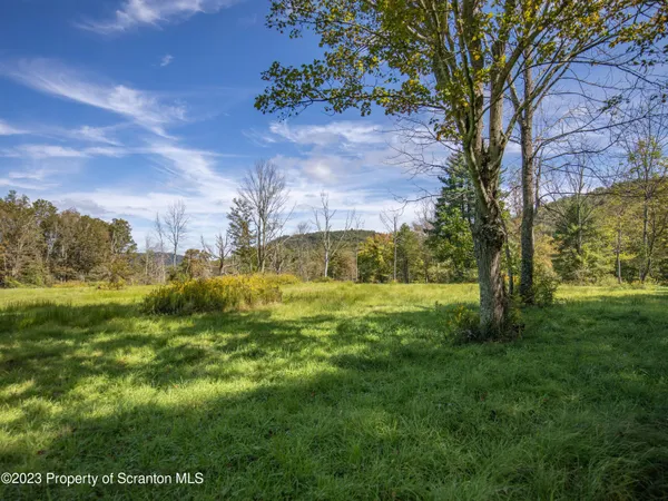 a view of yard with swimming pool and trees