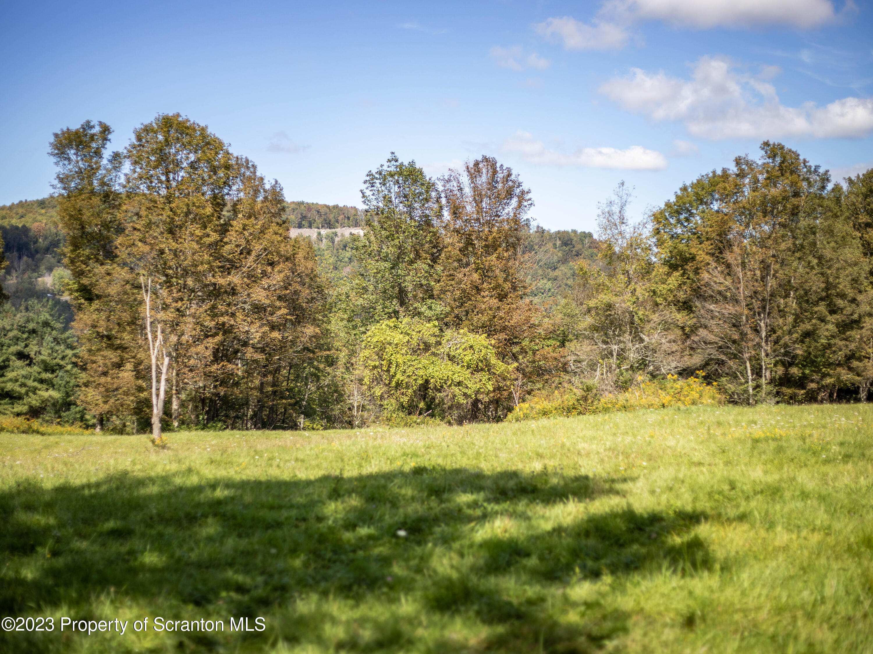 0 Franklin Hill Road Hallstead, PA 18822 - Photo 9 of 72 a view of outdoor space and a yard