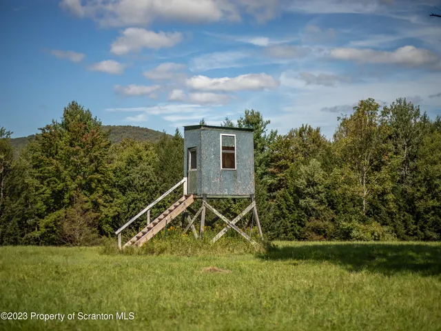 a view of a lush green forest with trees and some houses