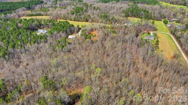 a view of banana tree