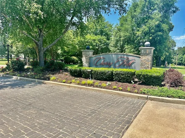 a view of a backyard with plants and large trees