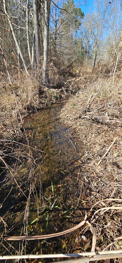 4.9-acres Grady Garner Road Slocomb, AL 36375 - Photo 18 of 70