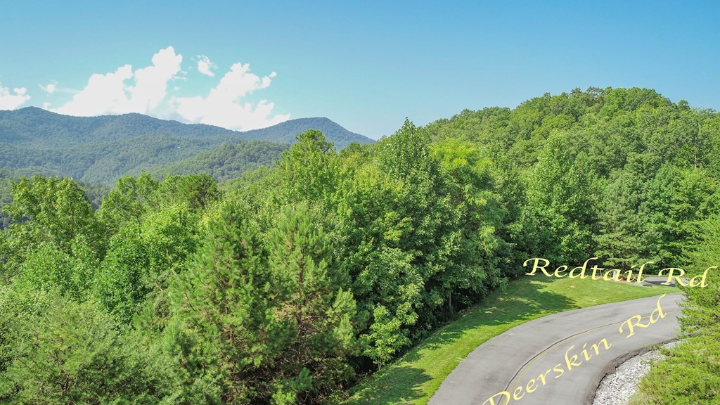 76 Redtail Road Sevierville, TN 37862 - Photo 17 of 23