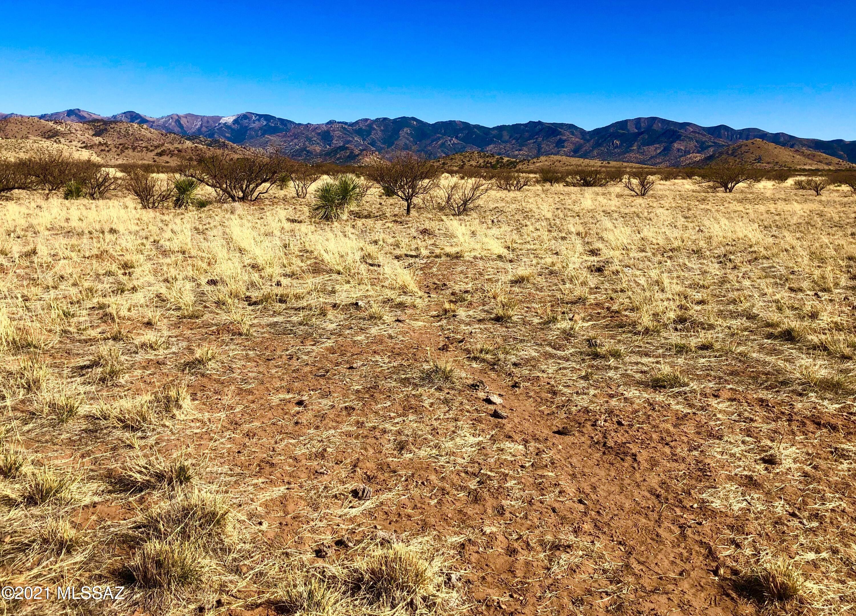 40.16 Ac Pearce, AZ 85625 - Photo 36 of 50