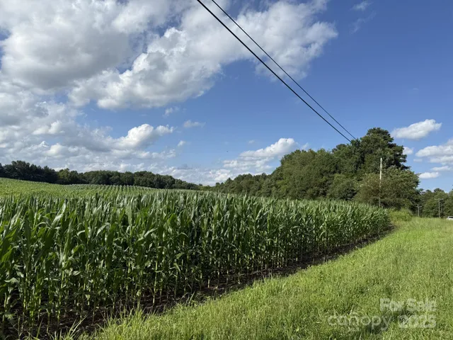 a view of a city and lush green forest