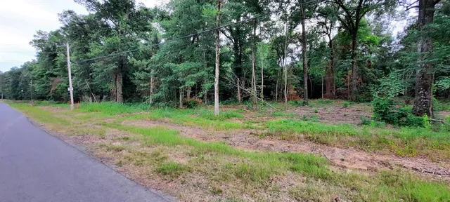 a view of outdoor space with green field and trees