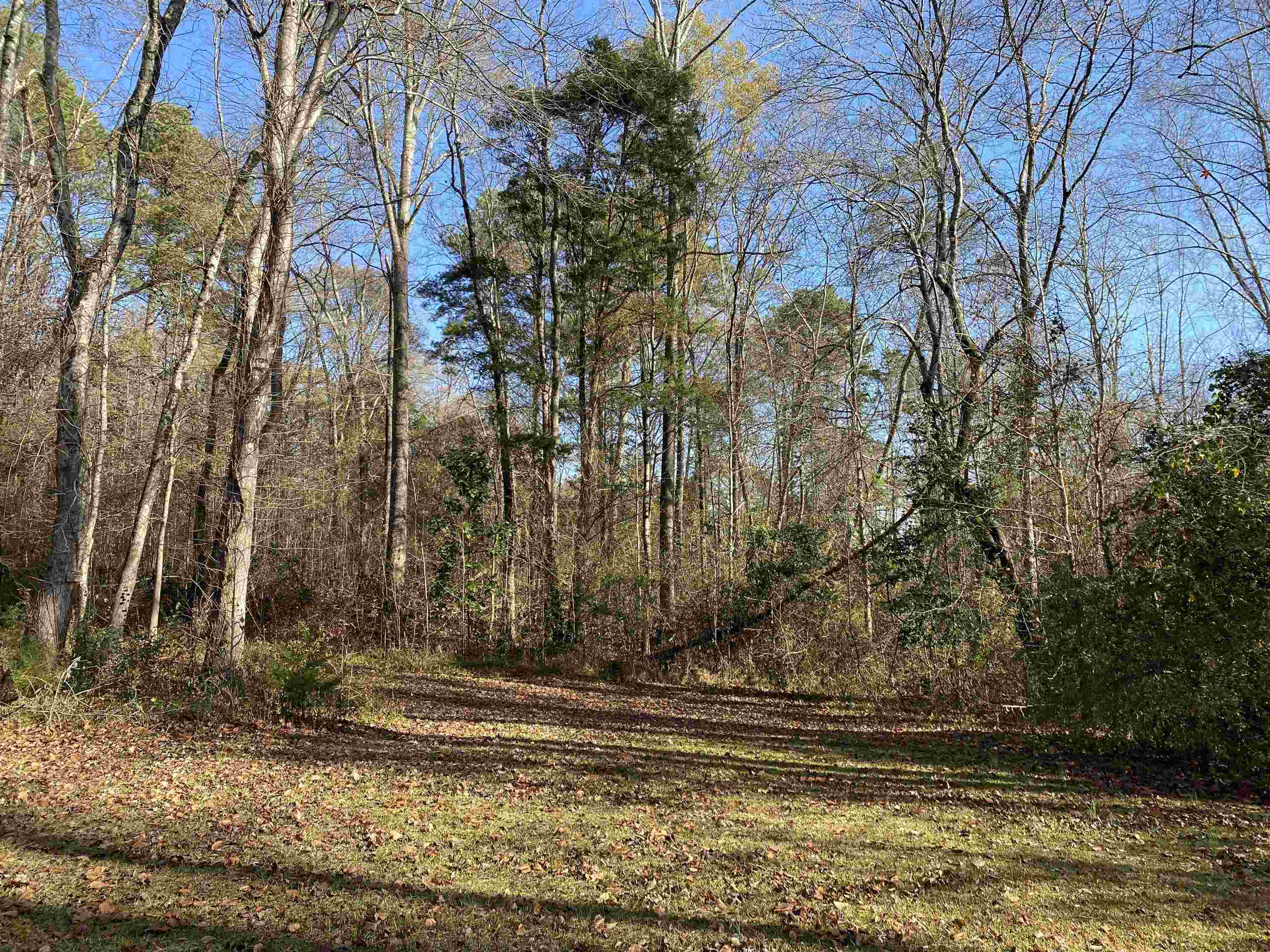 1080 Miller Farm Road Inman, SC 29349 - Photo 18 of 30 Gallery Image 18