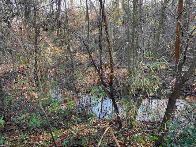 $249,979 | 1080 Miller Farm Road, Inman, SC 29349