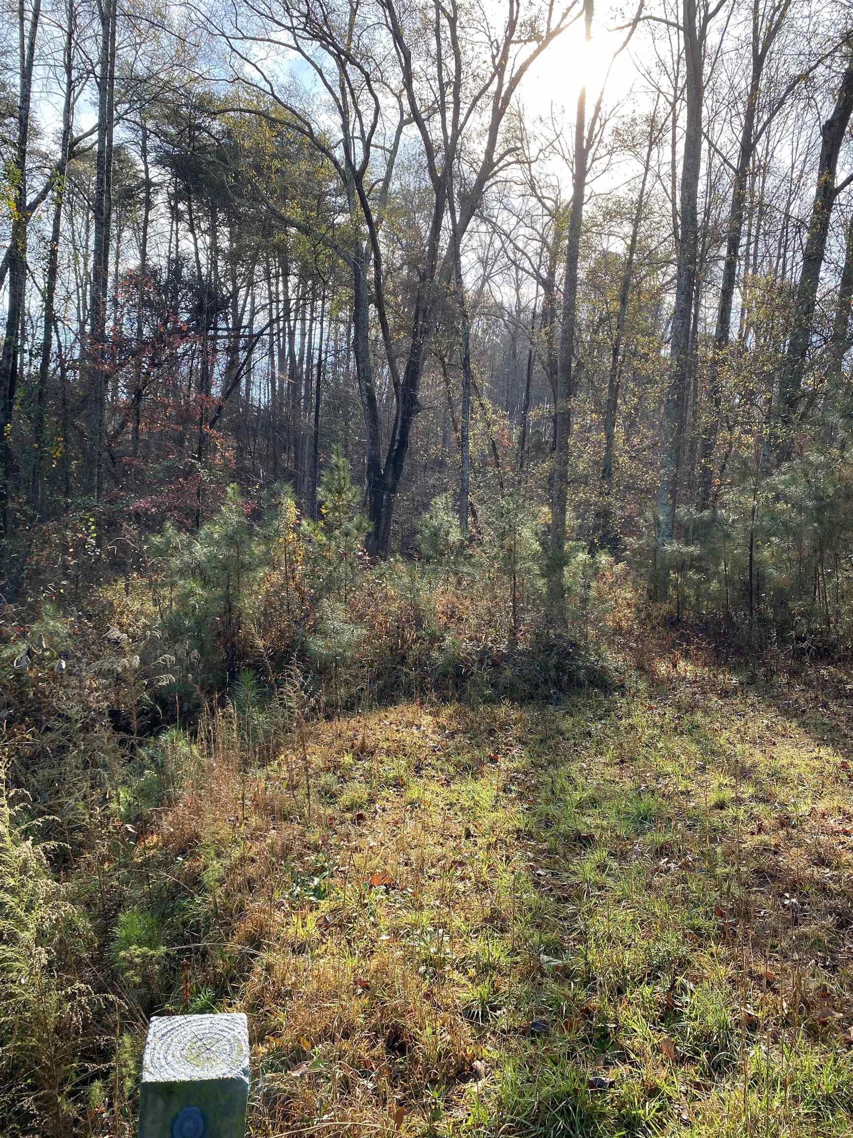 1080 Miller Farm Road Inman, SC 29349 - Photo 28 of 30 Gallery Image 28