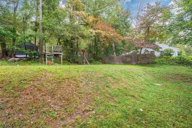 a view of a tree in a yard