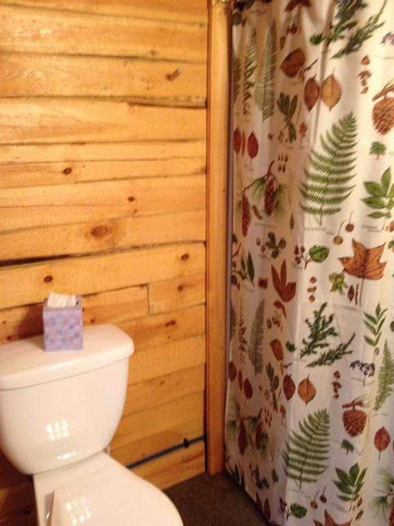 530 Sandy River Road Starks, ME 04911 - Photo 10 of 13 Photo