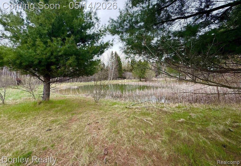 7285 Mayville Road Marlette, MI 48453 - Photo 26 of 28