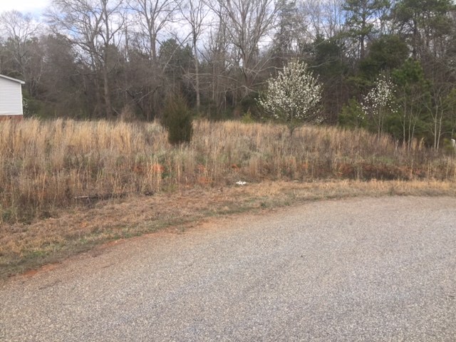 121 Tc-4-145, Unit RIVOLLI Anderson, SC 29625 - Photo 2 of 6 Gallery Image 2