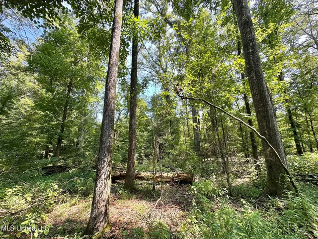 $250,000 | 3 Prentiss Crump Road, Utica, MS 39175