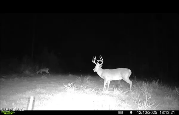 $240,000 | 3 Prentiss Crump Road, Utica, MS 39175