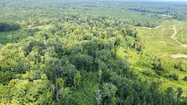 $250,000 | 3 Prentiss Crump Road, Utica, MS 39175