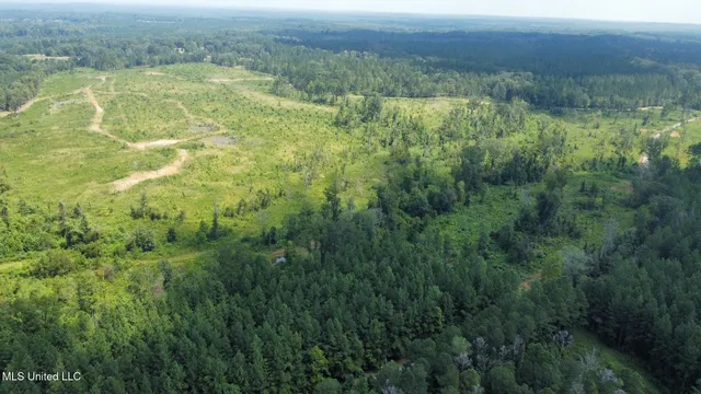 $250,000 | 3 Prentiss Crump Road, Utica, MS 39175