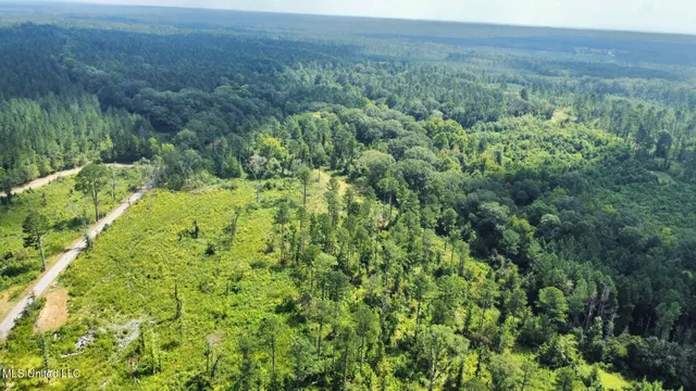 $250,000 | 3 Prentiss Crump Road, Utica, MS 39175