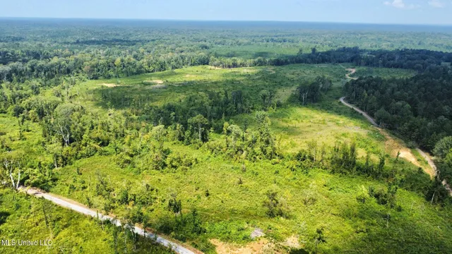 $250,000 | 3 Prentiss Crump Road, Utica, MS 39175