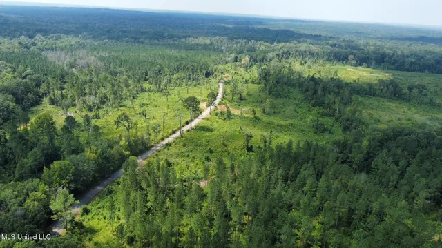 $250,000 | 3 Prentiss Crump Road, Utica, MS 39175