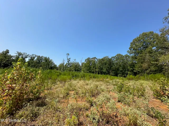 $250,000 | 3 Prentiss Crump Road, Utica, MS 39175