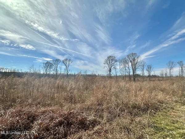 $240,000 | 3 Prentiss Crump Road, Utica, MS 39175