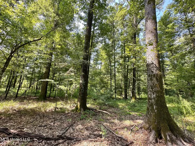 $250,000 | 3 Prentiss Crump Road, Utica, MS 39175