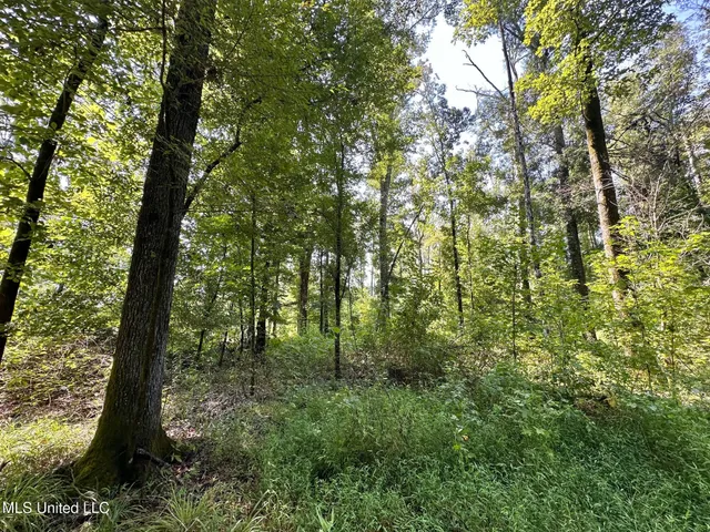 $250,000 | 3 Prentiss Crump Road, Utica, MS 39175