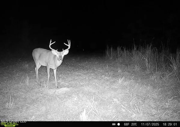 $240,000 | 3 Prentiss Crump Road, Utica, MS 39175