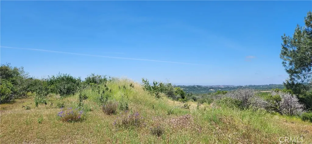0 Hummer Forest Ranch Magalia, CA 95954 - Photo 22 of 28 a view of a lush green space