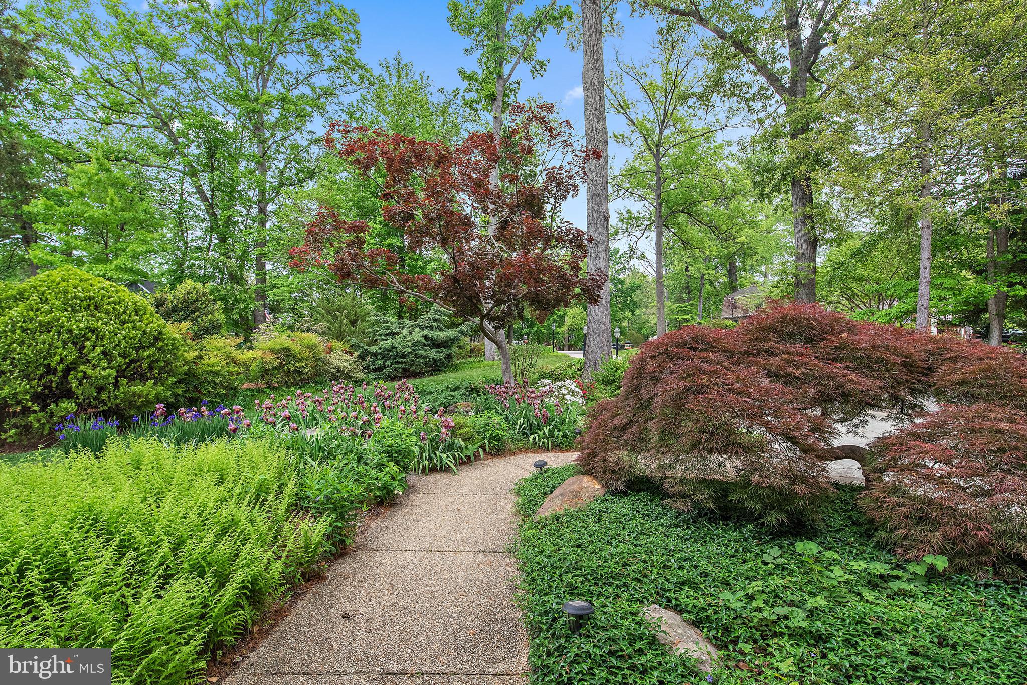 181 Doncaster Road Arnold, MD 21012 - Photo 41 of 44 Gallery Image 41