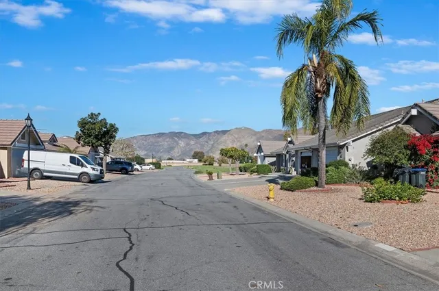 a row of palm trees in front of a house