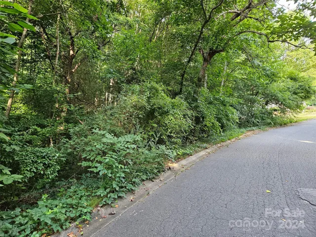 a view of a garden with plants
