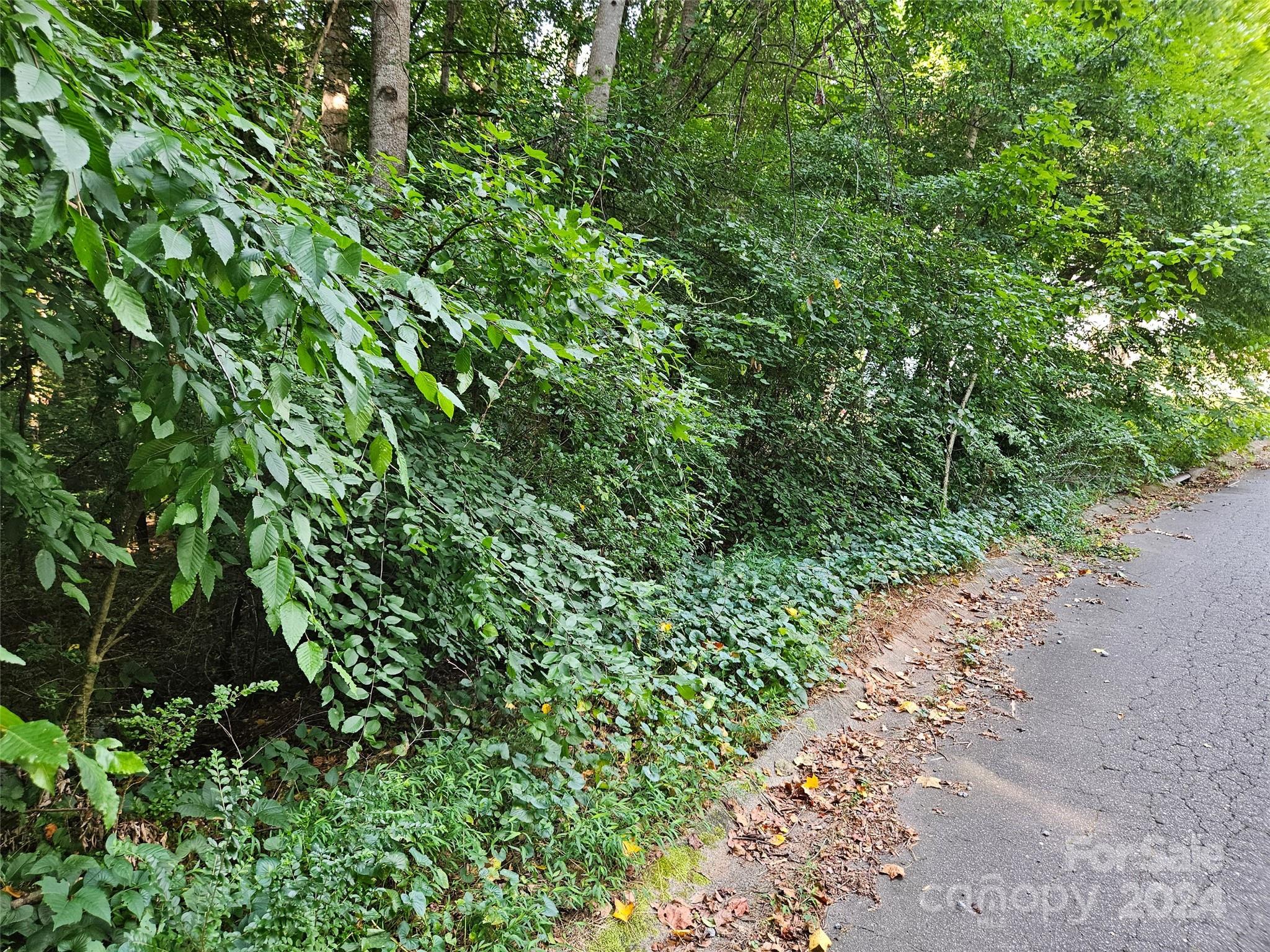 0 General Griffith Circle, Unit 31 Rutherfordton, NC 28139 - Photo 5 of 14 a backyard of a house with lots of green space