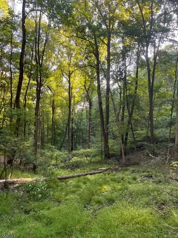 a view of outdoor space with trees all around