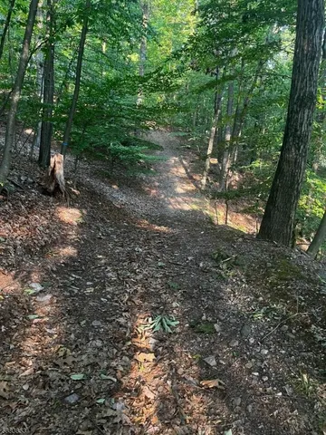 a backyard of a green field