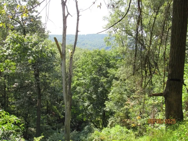 a view of outdoor space and trees