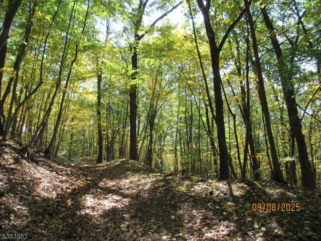 a view of a street sign of a tree