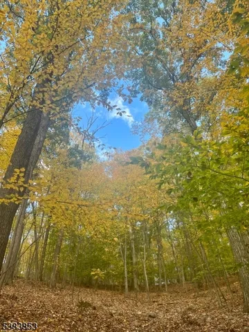a view of green field