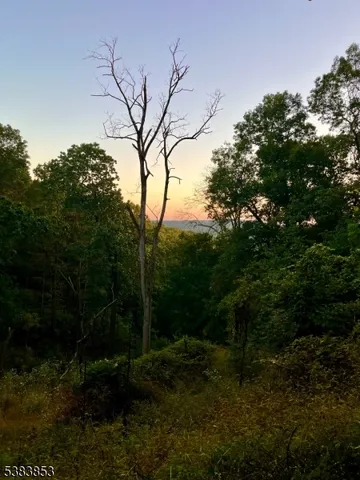 $299,000 | N/a Gravel Hill Road, Milford, NJ 08848