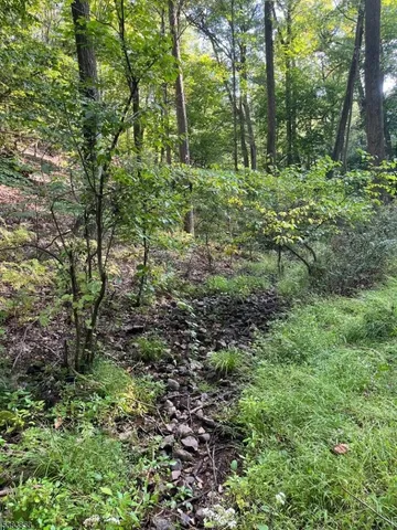a backyard of a house