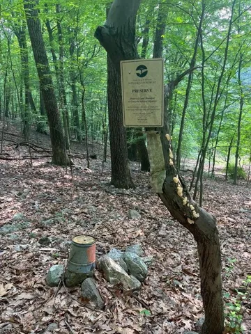 a view of a small house