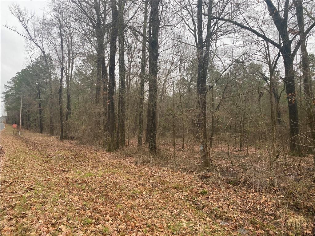 0 East Linton Road Benton, LA 71006 - Photo 11 of 29 a view of water covered with trees