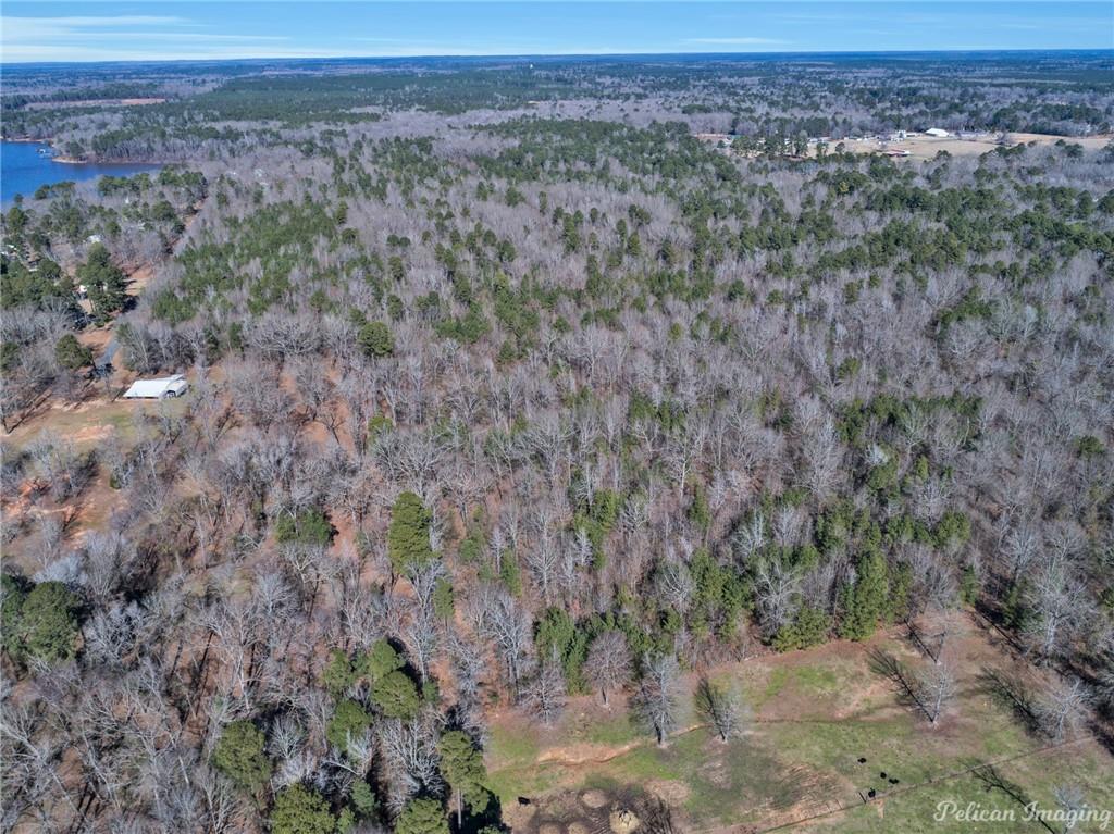 0 East Linton Road Benton, LA 71006 - Photo 13 of 29 a view of a yard with a mountain